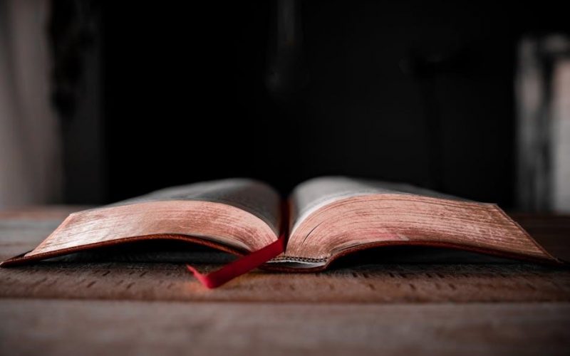niv study bible fully revised edition pdf