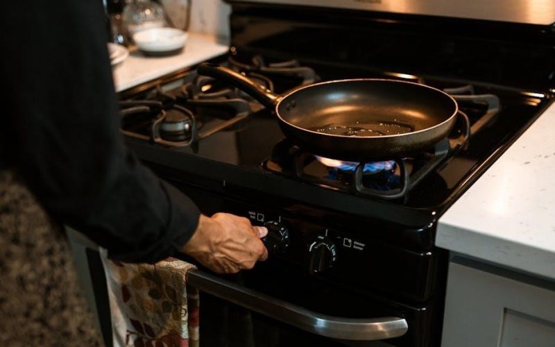 vermont castings radiance gas stove manual