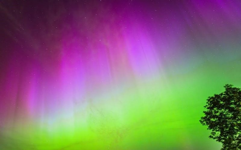 twisted lies free pdf