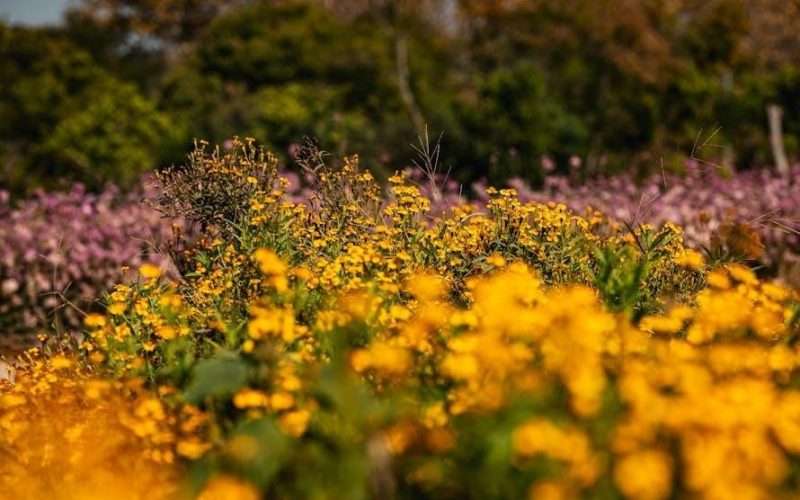 the way i am now pdf free download